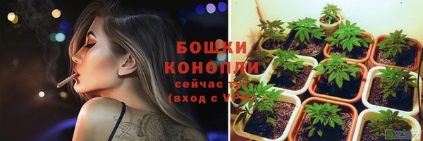 PSILOCYBIN Бугульма