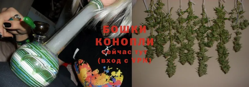 Марихуана Bruce Banner  Луза 